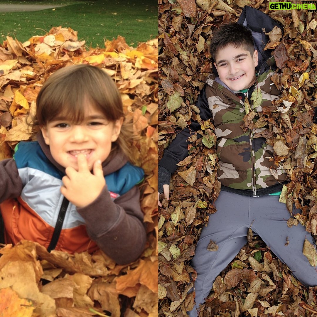 Céline Dion Instagram - Nelson et Eddy, vous apportez tellement de joie, d’amour et de rires dans nos vies à chaque jour depuis 10 ans. Votre grand frère et moi, et votre père qui veille sur vous, sommes tellement fiers de vous deux ! Bonne fête mes amours! On vous adore... - Maman, RC et Papa xx... 🐾 Nelson and Eddy, you have been bringing so much joy, love and laughter into our lives every single day for the past 10 years. You make me, your big brother and your Dad, who is for sure watching over you, so very proud. Happy birthday my beautiful boys! We love you so very much... - Mom, RC and Dad xx... 🐾