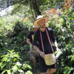 Cătălin Bordea Instagram - Diseară băgăm cam mult verde și @dinugavrila_ se transformă in Rambo. @nelucortea @americaexpressromania