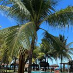 Caio Braz Instagram - dezembro em pernambuco 💚 Praia de Maracaípe - PE