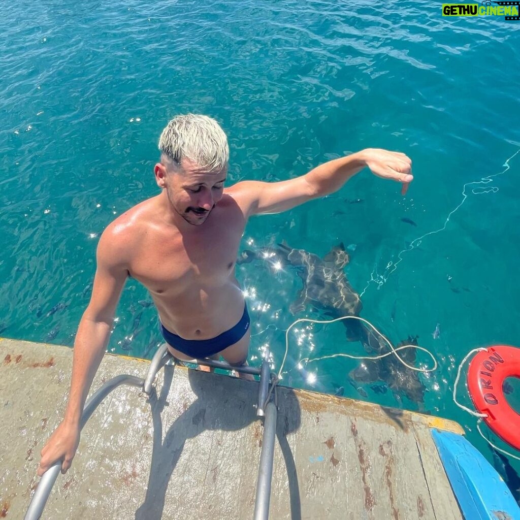 Caio Braz Instagram - claramente eu tô tentando pedir licença a esses TUBARÕES pra dar um mergulho com toda a educação do mundo. MERGULHARIAS? Fernando de Noronha