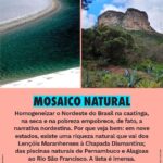 Caio Braz Instagram - A região abrange nove estados. Nesse território imenso, há espaço pra muitas culturas e realidades. Tem dificuldades e desigualdades, frutos de políticas nacionais de apagamento e exclusão? Sim. Mas também tem cidades do Ceará com a melhor educação do país e a capital que mais cresce no país, João Pessoa. Isso sem falar da simpatia e da hospitalidade. O Nordeste é múltiplo, é diverso, é complexo e não tem nada igual. Aqui, em parceria com o jornalista @caio, a gente explica por que está mais do que na hora de descartar os estereótipos e enxergar essa região como ela é.