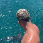 Caio Braz Instagram - claramente eu tô tentando pedir licença a esses TUBARÕES pra dar um mergulho com toda a educação do mundo. MERGULHARIAS? Fernando de Noronha