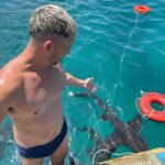 Caio Braz Instagram - claramente eu tô tentando pedir licença a esses TUBARÕES pra dar um mergulho com toda a educação do mundo. MERGULHARIAS? Fernando de Noronha