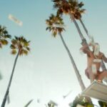 Calmatic Instagram - #ANDERSONPLAAK Pt. 2!!! 📀💸