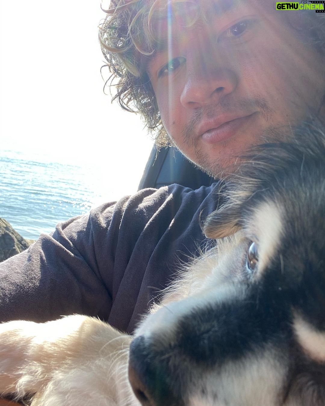 Calum Hood - 717.5K Likes - Coupla photos for your eyes.