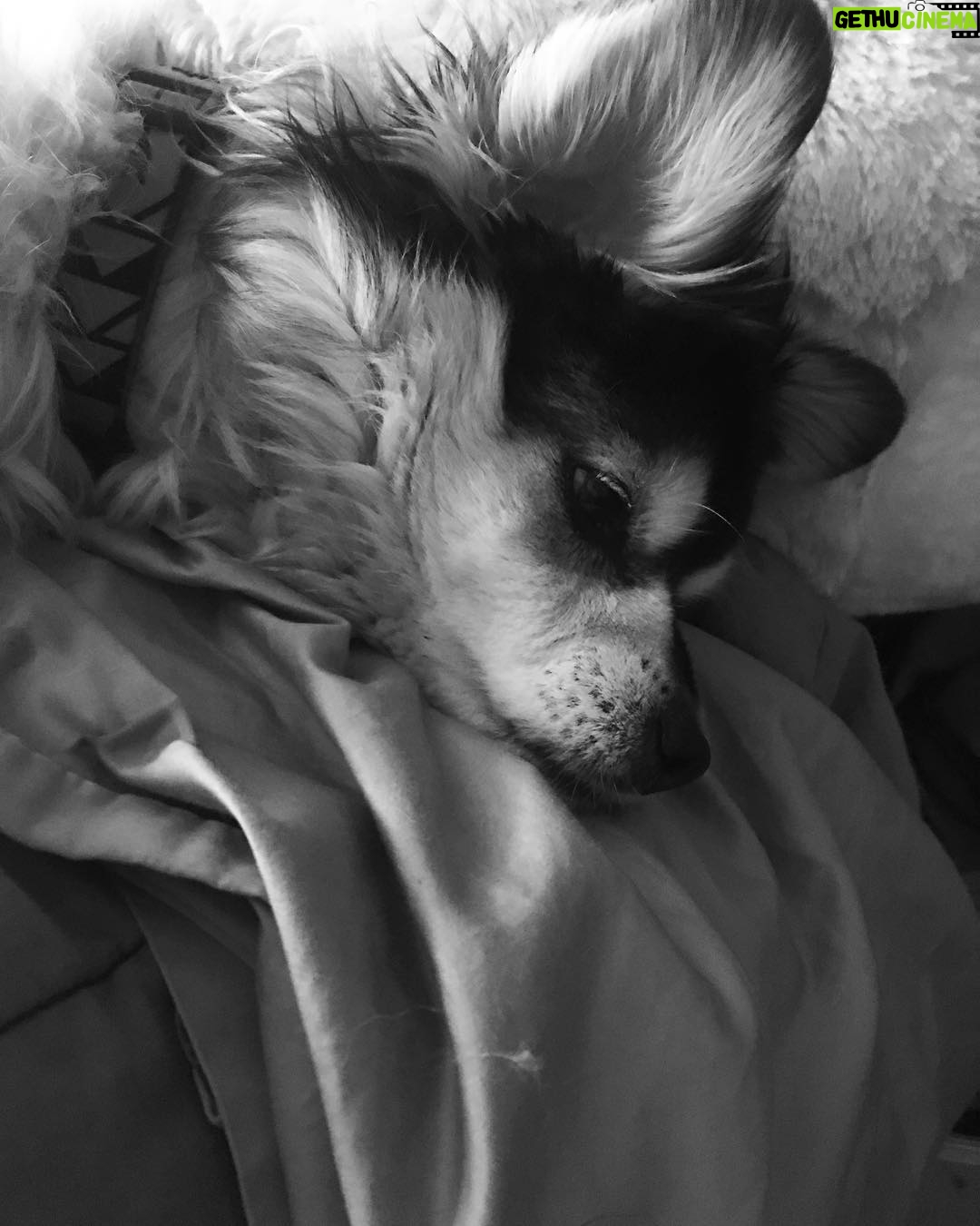 Calum Hood Instagram - Missing my little man.