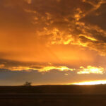 Cameron Boyce Instagram - 11 hours and almost 800 miles later Albuquerque, New Mexico