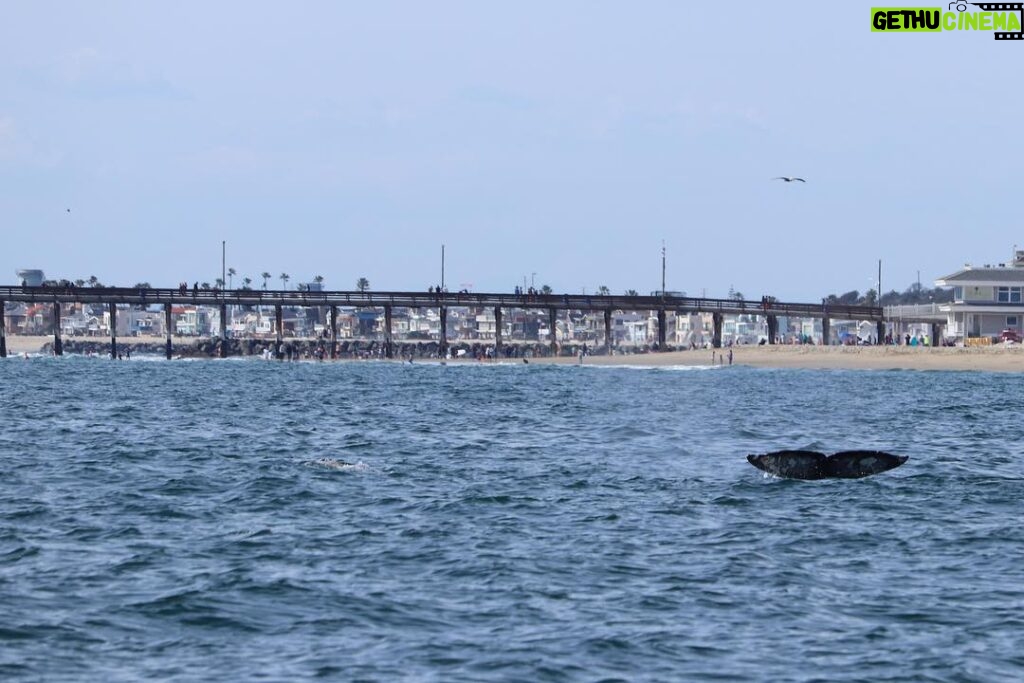 Cameron Boyce Instagram - had a whale of a time Newport Beach, California