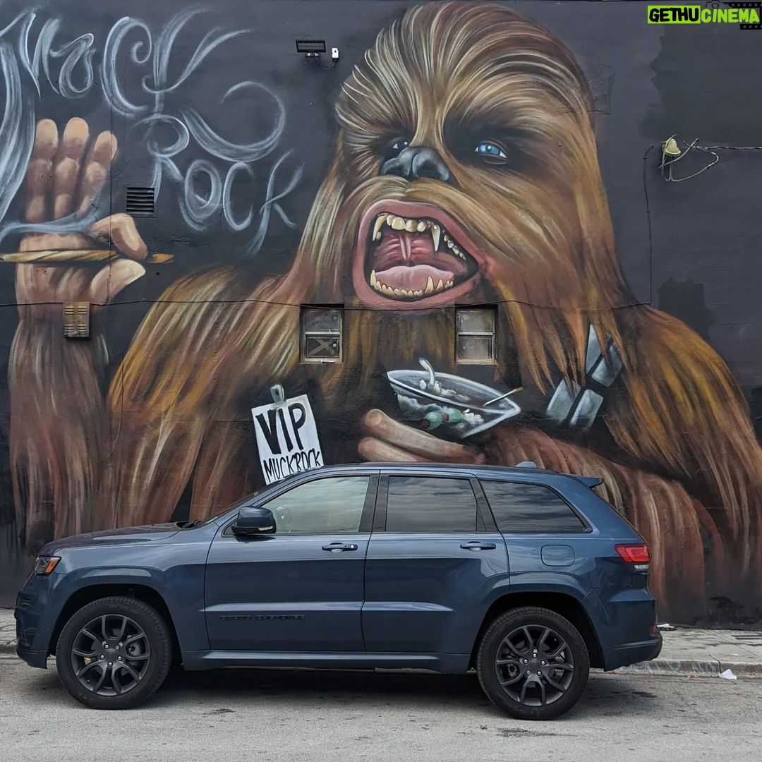 Cameron Kennedy Instagram - Pretty awesome graffiti. Wynwood Walls & Art District, Miami