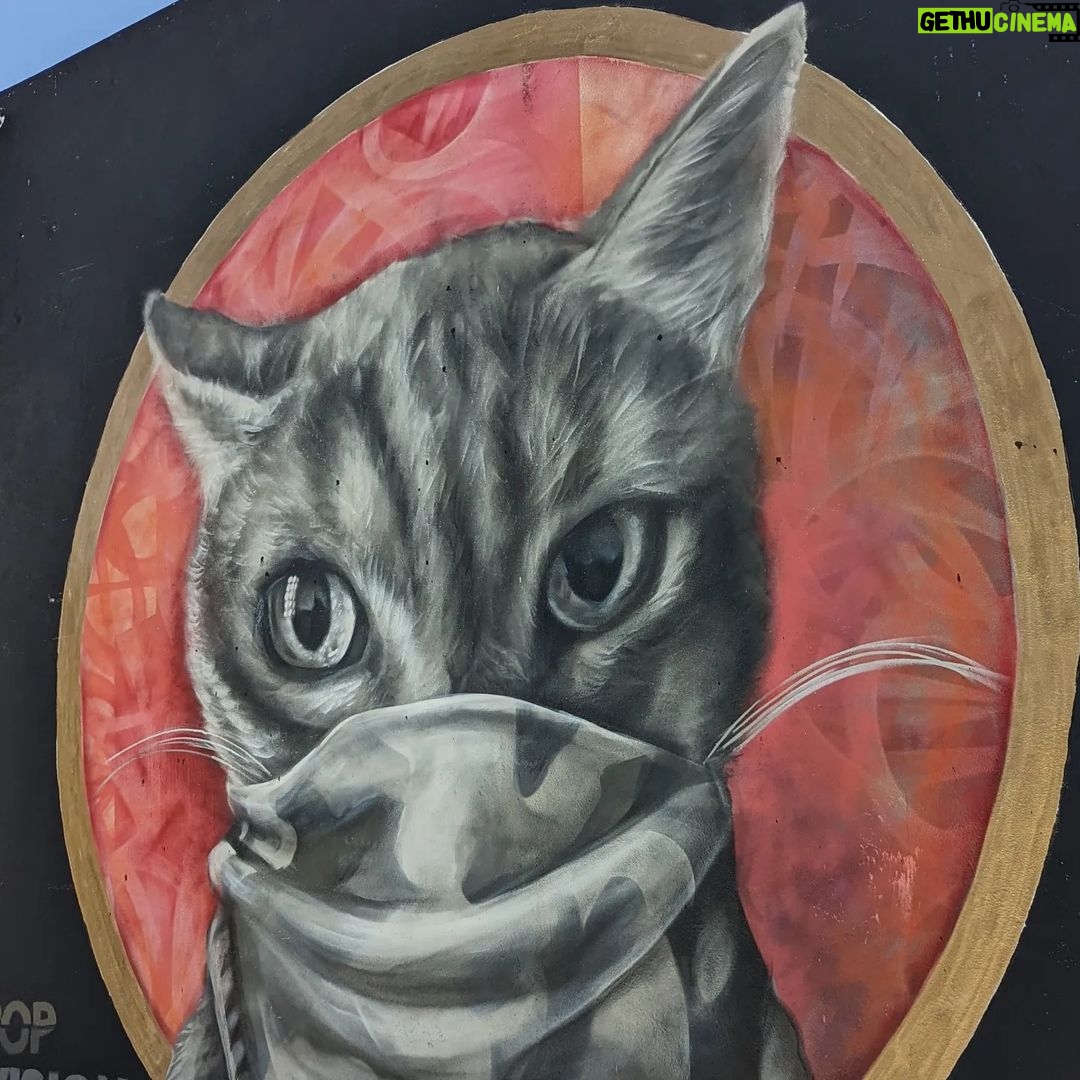 Cameron Kennedy Instagram - Pretty awesome graffiti. Wynwood Walls & Art District, Miami