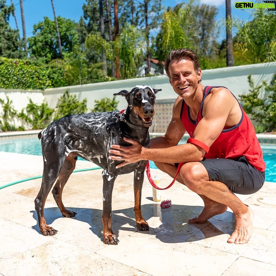 Cameron Mathison Instagram - Sorry buddy💦🧼🫧🛀🐶 #dog #dogdad #doberman #bathtime #nothisfavoritething Los Angeles, California