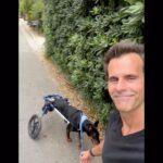 Cameron Mathison Instagram - As a cancer survivor it’s so hard to see others receive that dreaded diagnosis🙏🏼 Red was diagnosed with a Multiple Myeloma type Cancer diagnosis a few months ago😢. It’s inside his spine, and caused paralysis in his back legs. The prognosis isn’t good, but with the help of @2h4pfoundation (thank you @larissawohl ) we are doing our best to keep his quality of life the best we can for the time he has left. Love you Red… you’ve been so good to us for 11 years and we are doing our best to show you how grateful we are❤️ #dogsofinstagram #cancersucks #bestfriends