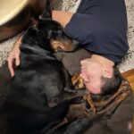 Cameron Mathison Instagram - He looks tough but he’s a total softy. The dog too😉. #dobielove #doberman #dogsofinstagram #dogsnuggles Los Angeles, California
