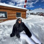 Camila Loures Instagram - Dump da viagem pra falar que saiu 24 horas na NEVE ❄️☃️ e tbm teve 1h de vlog, aproveita o final de semana e maratona o canal ❤️ link na bio! Valle Nevado - Cordillera de Los Andes/Chile