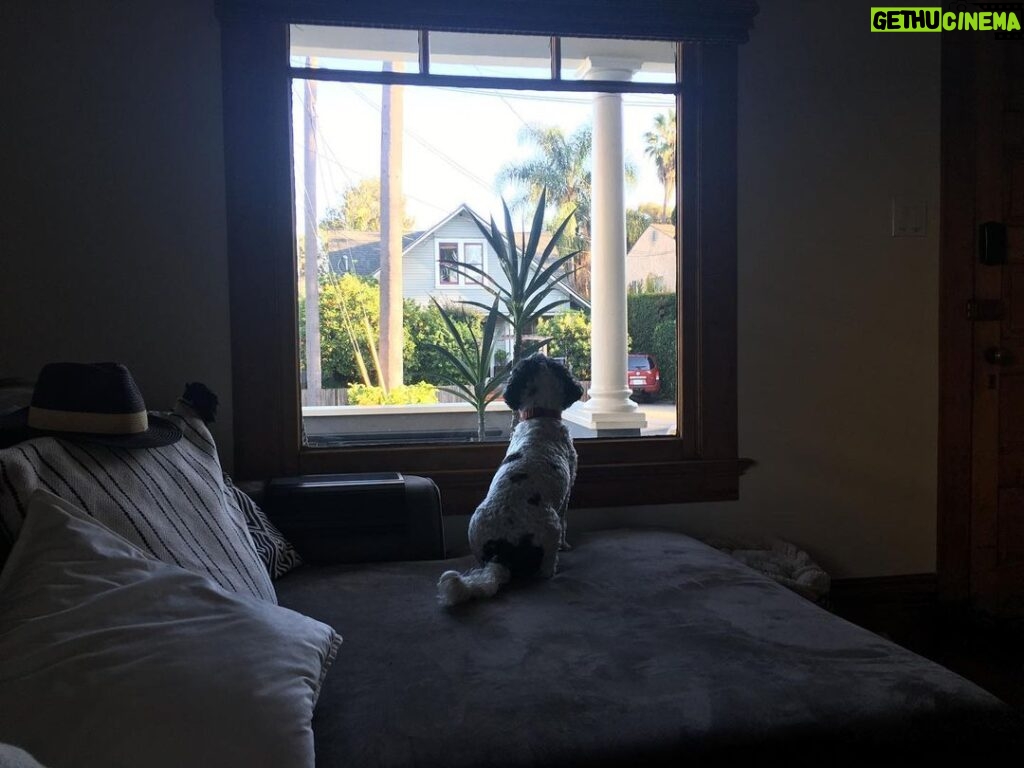 Camilla Arfwedson Instagram - My mum took this. Little Fred waiting for us to come back from the Farmers Market 💔 Santa Barbara, California