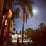 Camilla Arfwedson Instagram – Walk home ✨