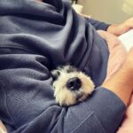Camilla Arfwedson Instagram – Snug as a bug