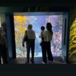 Camilla Arfwedson Instagram - 🐠❤️🐠 Long Beach Aquarium