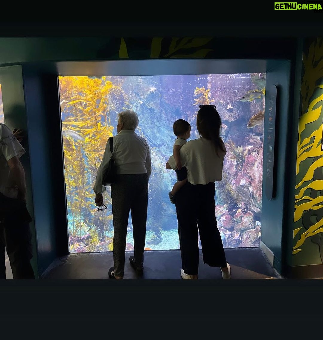 Camilla Arfwedson Instagram - 🐠❤️🐠 Long Beach Aquarium