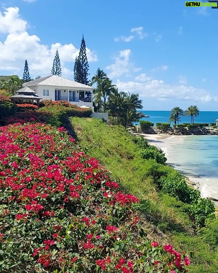 Camilla Kerslake - 567 Likes - Antigua unplugged. Missed you guys but feeling blessed to have had quality family away from my phone. Swipe for a cute surprise ❤️