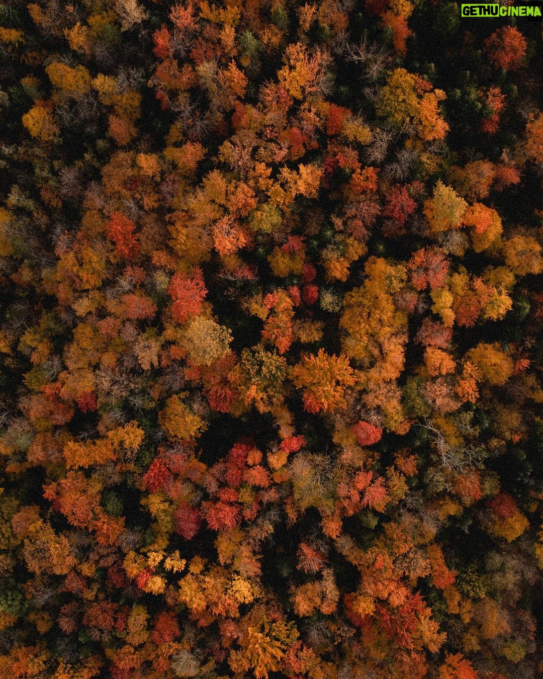 Camille D. Sperandio Instagram - ce petit getaway fût très plaisant 🍂🥾⛰️🌾🤎 Estrie