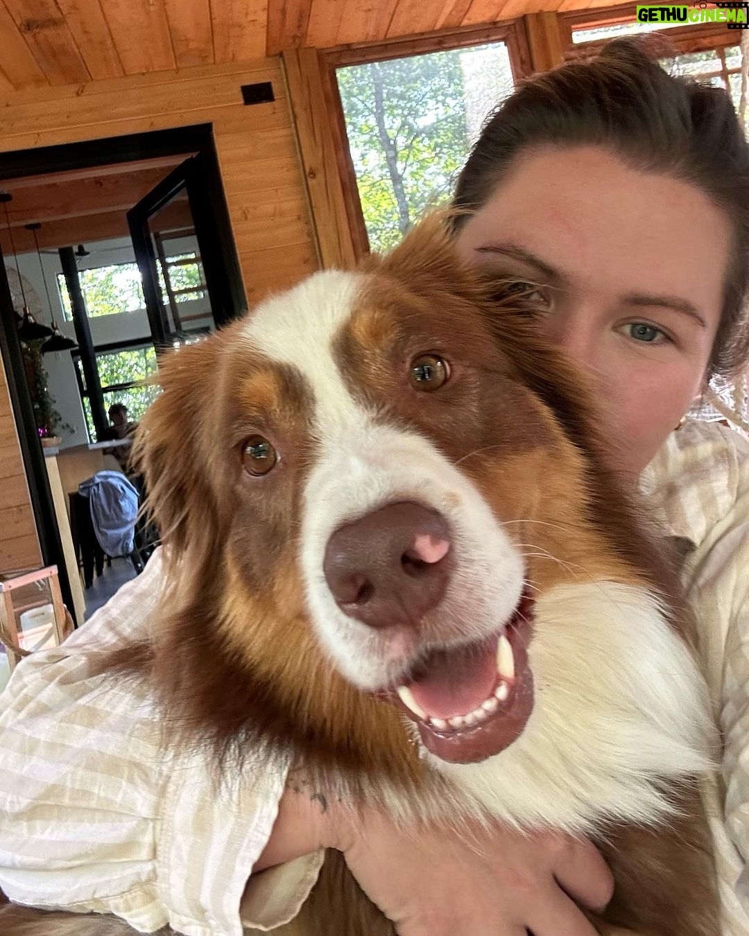 Camille D. Sperandio Instagram - POV : you’re a dog mom ou Bruce dump 💕 Quel Bruce es-tu aujourd’hui ?
