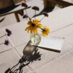 Camille D. Sperandio Instagram - découverte de @maisondesoma et complètement sous le charme de cet endroit. 🌾 Merci pour cette soirée magique où on a pu découvrir les lieux et y déguster un menu 9 services, frais, bio et local. 10/10 ⭐️