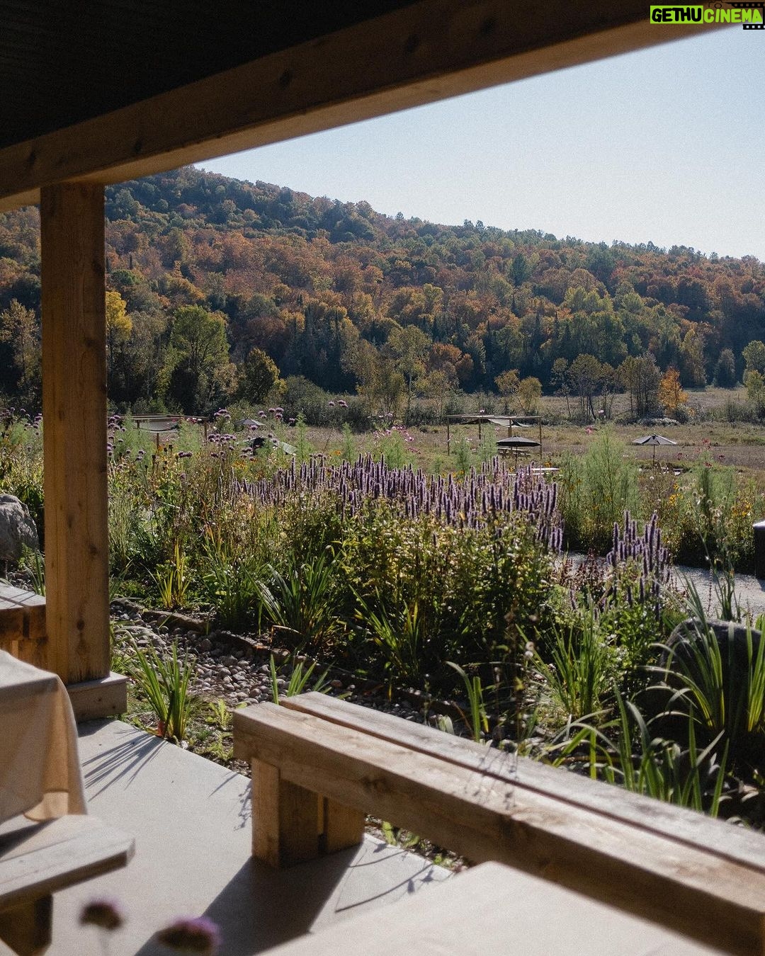 Camille D. Sperandio Instagram - découverte de @maisondesoma et complètement sous le charme de cet endroit. 🌾 Merci pour cette soirée magique où on a pu découvrir les lieux et y déguster un menu 9 services, frais, bio et local. 10/10 ⭐️