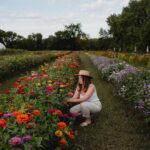Camille D. Sperandio Instagram - À faire avant que l’été termine : auto-cueillette de fleurs à @lavoie_fleursetjardins 🌸🪻🌼🌷🌻
