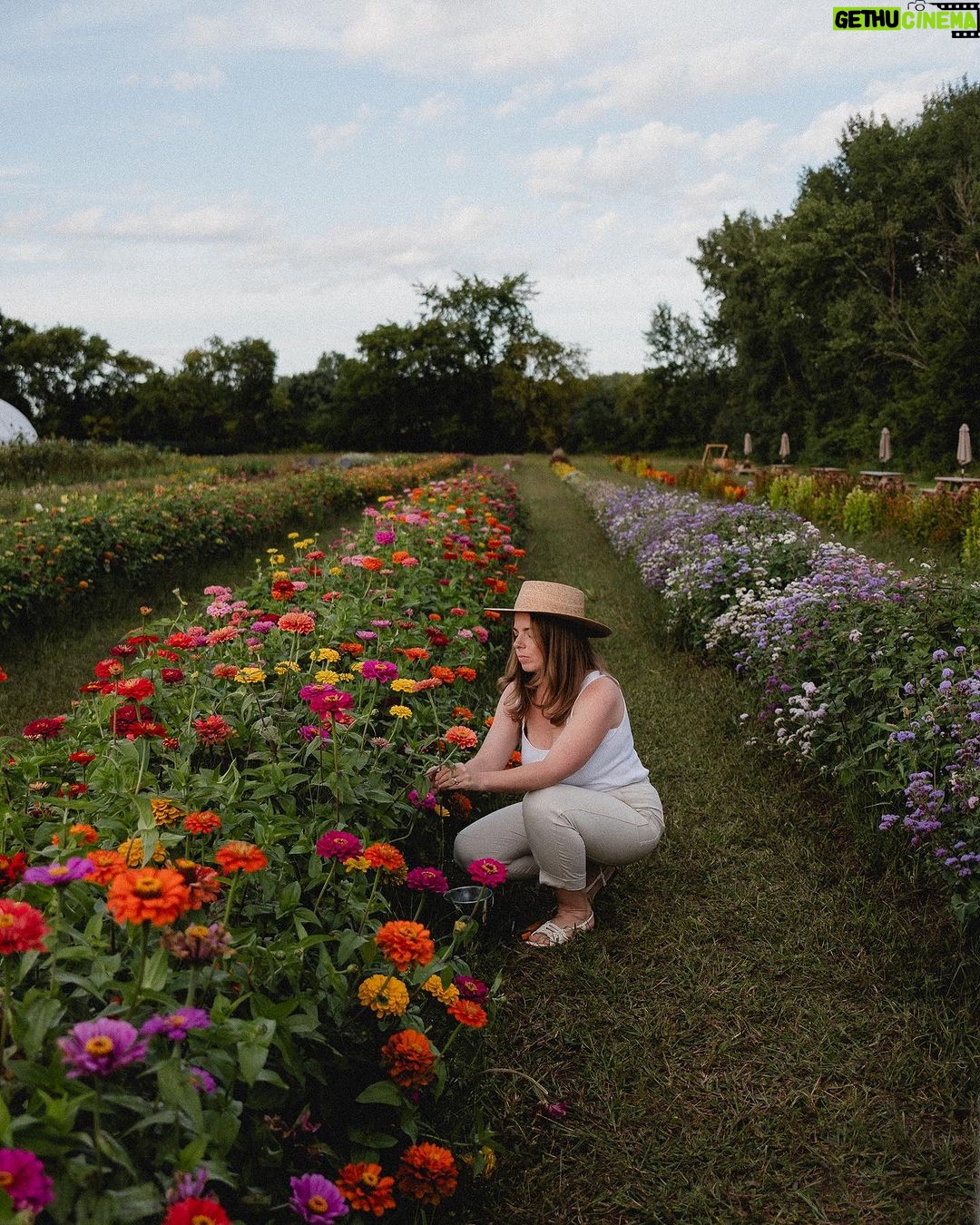 Camille D. Sperandio Instagram - À faire avant que l’été termine : auto-cueillette de fleurs à @lavoie_fleursetjardins 🌸🪻🌼🌷🌻