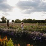 Camille D. Sperandio Instagram – À faire avant que l’été termine : auto-cueillette de fleurs à @lavoie_fleursetjardins 🌸🪻🌼🌷🌻