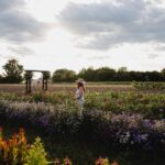 Camille D. Sperandio Instagram - À faire avant que l’été termine : auto-cueillette de fleurs à @lavoie_fleursetjardins 🌸🪻🌼🌷🌻
