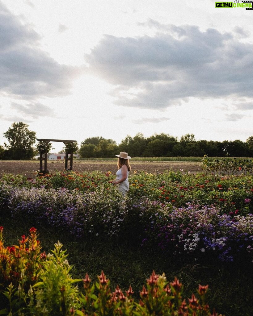 Camille D. Sperandio Instagram - À faire avant que l’été termine : auto-cueillette de fleurs à @lavoie_fleursetjardins 🌸🪻🌼🌷🌻
