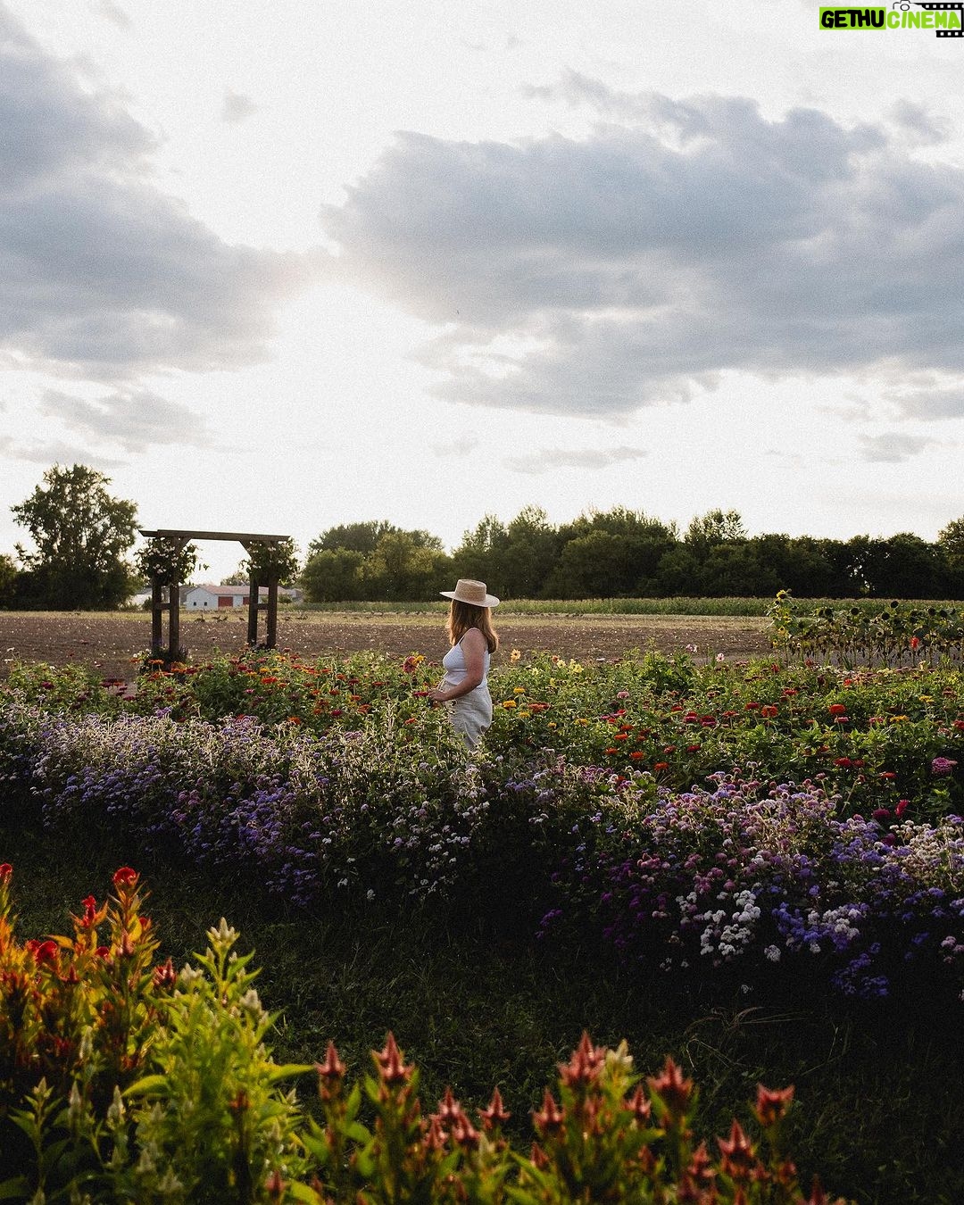 Camille D. Sperandio Instagram - À faire avant que l’été termine : auto-cueillette de fleurs à @lavoie_fleursetjardins 🌸🪻🌼🌷🌻