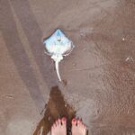 Cansu Demirci Instagram – Boedo
Saat:04:20
Sinek saldirisi
(Son iki haftamın enlerini seçerken off’suz yaşadıklarım) 😐 Boedo, Distrito Federal, Argentina