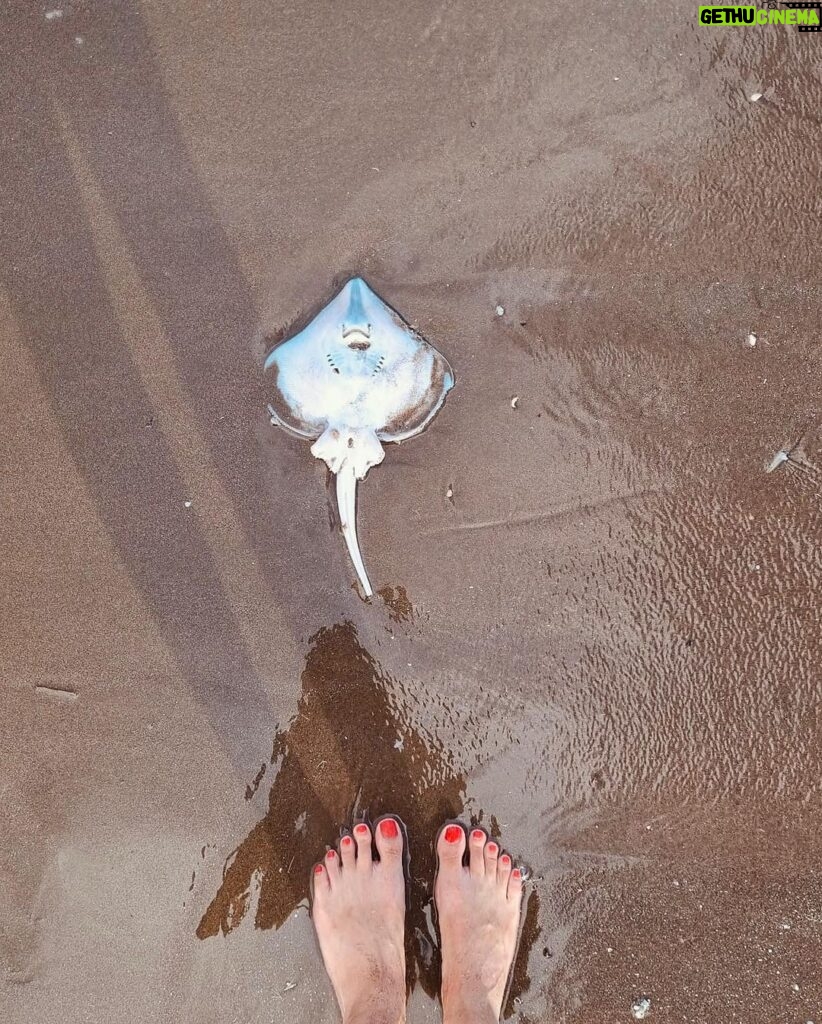 Cansu Demirci Instagram - Boedo Saat:04:20 Sinek saldirisi (Son iki haftamın enlerini seçerken off’suz yaşadıklarım) 😐 Boedo, Distrito Federal, Argentina