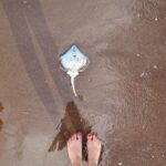 Cansu Demirci Instagram – Ayşegül sahilde 👙 Balneario Sauce Grande, Buenos Aires, Argentina