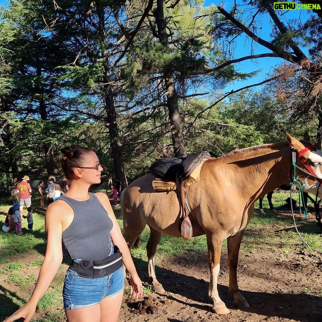 Cansu Demirci Instagram - 01.01.2024 Villa Ventanaš¤