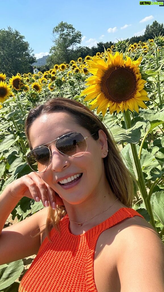 Carmen Villalobos Instagram - Paseando por la tierra de los girasoles en Toscana 😻 Literal, hermosos campos de oro 🌻🌻🌻🌻🌻🌻🌻 La Toscana, Italia