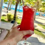 Carmen Villalobos Instagram - Gracias RD por todo ❤️😻! Fue un fin y comienzo de año fantásticos... aquí les dejo un recap🥰...! Ahora si que empiece este 2024 💪🏼💫❤️🙌🏼 1.Mas playa por favor 🏖️ 2.Plenitud 🏡 3.Juguitos bien fríos para este clima ☀️ 4.Siempre juntas 👩‍👧 5.Los atardeceres más bellos 🇩🇴 6.Hakuna Matata - Las bendis 🐶🐶 7.Que nunca falten las selfies en los espejos 😜 8.Las arenas más feroces del planeta🔥 9.Él 🤤 10. La felicidad 😻❤️😻 República Dominicana