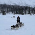 Carola Häggkvist Instagram - Mitt enda sätt att skydda mig emot ’småspik i vågrät riktning’ i fjällvinden idag.. Familjetid med syrrans stora familj och så Amadeus & Zoe ute i friska luften uppe i vackra Lappland!! Omg. ’Tennis rackets’ på fötterna upp till hundspann, brasa och ’kolbullen’ - bland det godaste saltaste ’pannkakan’ med sidfläsk som jag nånsin ätit. Wow, så fint du ordnat för oss Magnus. ( Driftschef på Borgafjäll hotell.) #borgafjäll #lappland #juletid #skratt #motion #hundspann #fjället #borgafjällhotell @borgafjallhotell Sista videon trillade jag omkull.. #lätthes #återhämtning .. Borgasjön, Lappland