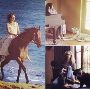 Carole King Instagram - Animals have often been featured on Carole’s album covers. Do you have a favorite? 🐴 🐕 🐈‍⬛ 

#tapestry #music #thoroughbred 
📷: Chuck Beeson, Jim McCrary