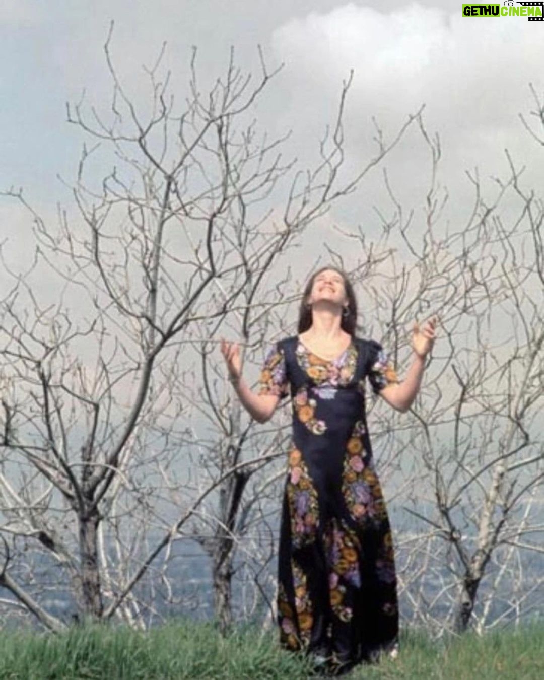 Carole King Instagram - “I’m like a plant, I reach for the sun” - CK 📷 Guy Webster, 1970 ‘Writer’ photo shoot Laurel Canyon, Los Angeles