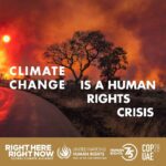 Carole King Instagram - It's time to address #ClimateChange as the #HumanRights crisis it is. For the 75th Anniversary of the Universal Declaration of Human Rights, join the Right Here, Right Now Global Climate Alliance @rhrn_climate and global partner @UnitedNationsHumanRights in calling for the UN Climate Change Conference @COP28uaeofficial to advance your right to a healthy environment. By working together and supporting inclusive, rights-based climate action for people and the planet, we can realize a better, more sustainable future for all. #HumanRights75