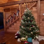 Carson Meyer Instagram - A cozy cabin Christmas🎄❤️🕯