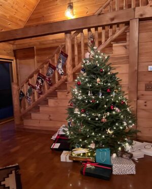 Carson Meyer Instagram - A cozy cabin Christmas🎄❤️🕯