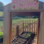 Carson Meyer Instagram - Last week we traveled home to Malibu to visit family and my mom surprised Lou with her very own garden at @onesunfarms where she got to plant fruits and veggies and play with her friends in the biodynamic soil🌻 Growing up I remember my mom keeping seeds in her safe which was symbolic of the value of nutritious food and the potential for growth and repair that Mother Nature affords us. Over the past few years she’s turned her home into a biodynamic farm providing food for her community and healing the soil that was previously neglected and void of life. There is no greater gift we can give our children than a healthy earth for them to dig their hands into and be fed from. The dirt we’ve been conditioned to fear has healing benefits for the immune system and promotes a diverse microbiome. This quote from Braiding Sweetgrass sums it up…Thank you mom! “This is really why I made my daughters learn to garden—so they would always have a mother to love them, long after I am gone“