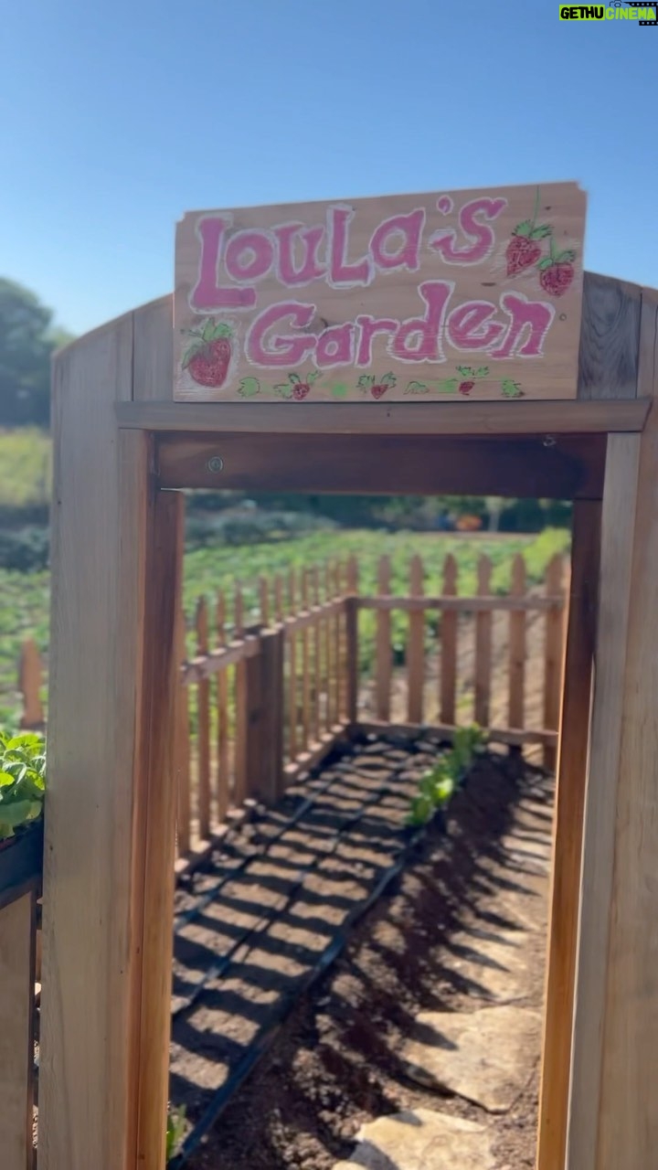 Carson Meyer Instagram - Last week we traveled home to Malibu to visit family and my mom surprised Lou with her very own garden at @onesunfarms where she got to plant fruits and veggies and play with her friends in the biodynamic soil🌻 Growing up I remember my mom keeping seeds in her safe which was symbolic of the value of nutritious food and the potential for growth and repair that Mother Nature affords us. Over the past few years she’s turned her home into a biodynamic farm providing food for her community and healing the soil that was previously neglected and void of life. There is no greater gift we can give our children than a healthy earth for them to dig their hands into and be fed from. The dirt we’ve been conditioned to fear has healing benefits for the immune system and promotes a diverse microbiome. This quote from Braiding Sweetgrass sums it up…Thank you mom! “This is really why I made my daughters learn to garden—so they would always have a mother to love them, long after I am gone“