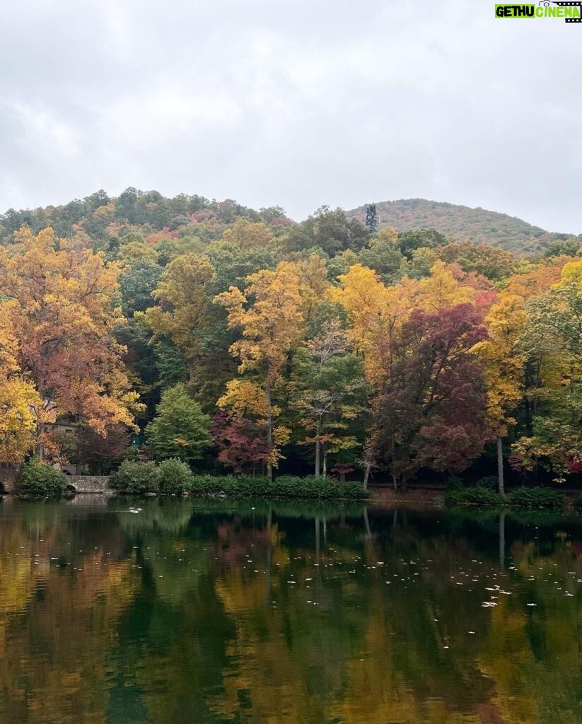 Carson Meyer Instagram - Autumn in the magic mountains 🍁🍂🍄