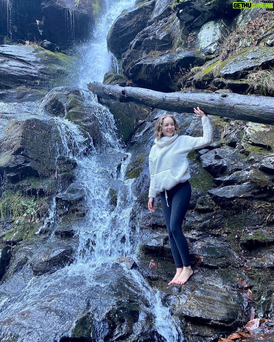 Carson Meyer Instagram - Soaking up every second of spring time in The South. A few of my favorite things: ๐๐ชบ mama dove sitting on her nest outside my window ๐ฑ First broccoli sprout emerging in the garden ๐ป family of bears in our back yard ๐ชฑ worms turning our food scraps into black gold ๐ฎ breakfast tacos ๐ง
๐ง my love, foraging for wild ramps for dinner on the mountain